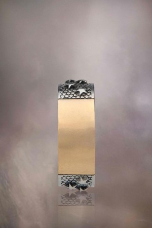 Maison Margiela Star Ring Silver Gold | USA_MM31417